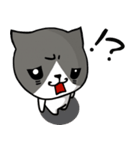 とても無口な猫。（個別スタンプ：21）