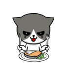 とても無口な猫。（個別スタンプ：22）