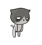 とても無口な猫。（個別スタンプ：30）