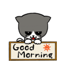 とても無口な猫。（個別スタンプ：34）