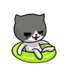 とても無口な猫。（個別スタンプ：35）