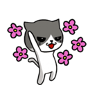とても無口な猫。（個別スタンプ：38）