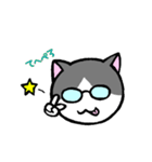 にゃーきちさん（個別スタンプ：37）