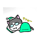にゃーきちさん（個別スタンプ：38）