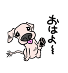 可愛いハナクロ（個別スタンプ：1）