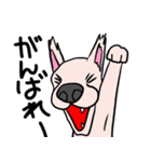 可愛いハナクロ（個別スタンプ：10）