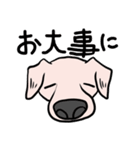 可愛いハナクロ（個別スタンプ：11）
