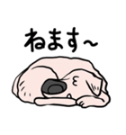 可愛いハナクロ（個別スタンプ：13）