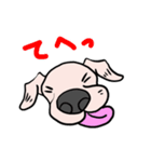 可愛いハナクロ（個別スタンプ：16）