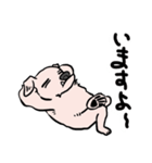 可愛いハナクロ（個別スタンプ：20）