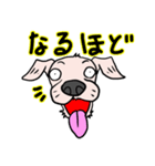 可愛いハナクロ（個別スタンプ：29）