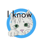 それぞれの猫 (英語)（個別スタンプ：2）