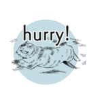 それぞれの猫 (英語)（個別スタンプ：7）