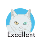 それぞれの猫 (英語)（個別スタンプ：9）