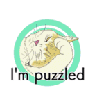 それぞれの猫 (英語)（個別スタンプ：12）