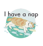 それぞれの猫 (英語)（個別スタンプ：13）