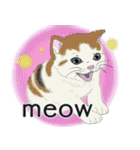 それぞれの猫 (英語)（個別スタンプ：15）