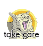 それぞれの猫 (英語)（個別スタンプ：17）