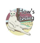 それぞれの猫 (英語)（個別スタンプ：18）