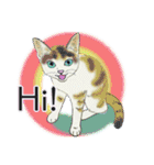 それぞれの猫 (英語)（個別スタンプ：20）