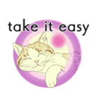 それぞれの猫 (英語)（個別スタンプ：25）