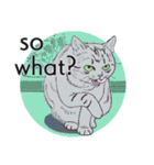 それぞれの猫 (英語)（個別スタンプ：27）