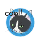 それぞれの猫 (英語)（個別スタンプ：29）