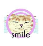 それぞれの猫 (英語)（個別スタンプ：30）
