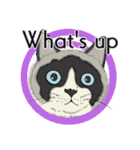 それぞれの猫 (英語)（個別スタンプ：31）
