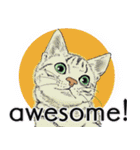 それぞれの猫 (英語)（個別スタンプ：33）