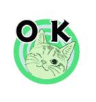 それぞれの猫 (英語)（個別スタンプ：38）