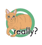 それぞれの猫 (英語)（個別スタンプ：40）