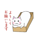箱入りねこさんの日常スタンプ（個別スタンプ：1）