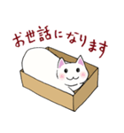 箱入りねこさんの日常スタンプ（個別スタンプ：2）