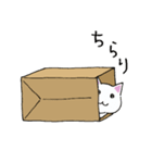 箱入りねこさんの日常スタンプ（個別スタンプ：3）