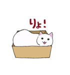 箱入りねこさんの日常スタンプ（個別スタンプ：5）