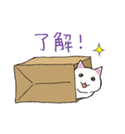 箱入りねこさんの日常スタンプ（個別スタンプ：8）