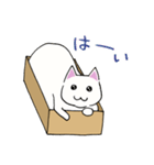 箱入りねこさんの日常スタンプ（個別スタンプ：9）
