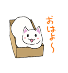 箱入りねこさんの日常スタンプ（個別スタンプ：11）