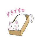 箱入りねこさんの日常スタンプ（個別スタンプ：14）
