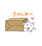 箱入りねこさんの日常スタンプ（個別スタンプ：16）
