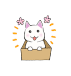 箱入りねこさんの日常スタンプ（個別スタンプ：17）