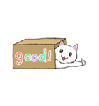 箱入りねこさんの日常スタンプ（個別スタンプ：18）