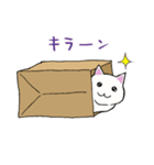 箱入りねこさんの日常スタンプ（個別スタンプ：23）