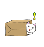 箱入りねこさんの日常スタンプ（個別スタンプ：24）