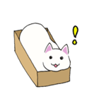 箱入りねこさんの日常スタンプ（個別スタンプ：27）