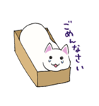 箱入りねこさんの日常スタンプ（個別スタンプ：30）