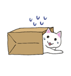 箱入りねこさんの日常スタンプ（個別スタンプ：31）
