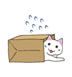 箱入りねこさんの日常スタンプ（個別スタンプ：32）