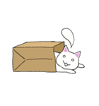 箱入りねこさんの日常スタンプ（個別スタンプ：33）